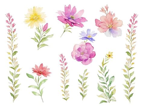 Vektorillustrationen Von Aquarell Blumen Clipart Sets Premium Vektor