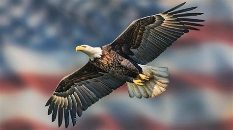 Premium Photo Soaring Bald Eagle With American Flag Background