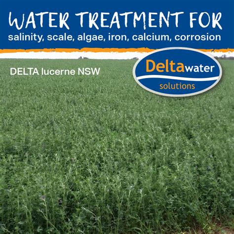 Bore water treatment for irrigation and stock - Delta Water