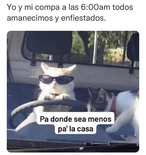 Yo Y Mi Compa A Las 6 00am Todos Amanecimos Y Enfiestados Pa Donde Sea