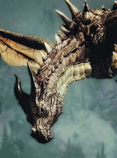 Pin Auf Drachenzeichnungen In Drachen Drachenkunst Dragons Bilder