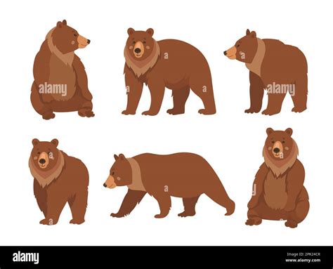 Wild Brown Bear Cartoon Character Flat Vector Illustrations Set Stock