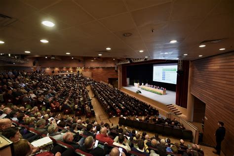 Banca Delle Terre Venete Nel Utile Netto Di Milioni Di Euro