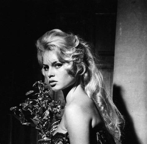 Brigitte Bardot Photographed By Peter Basch In Brigitte Bardot