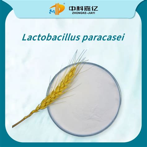 Freeze Dried Powder Lactobacillus Paracasei Probiotic Digestive Health