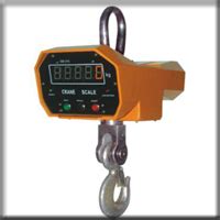 Crane Scale At Best Price In Kochi By Uniweigh Scales And Services