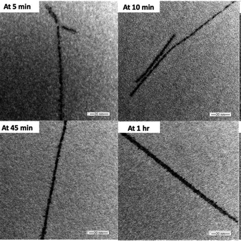 The XPS Spectra Of Cu OH 2 Nanowires A The Survey XPS Spectrum And