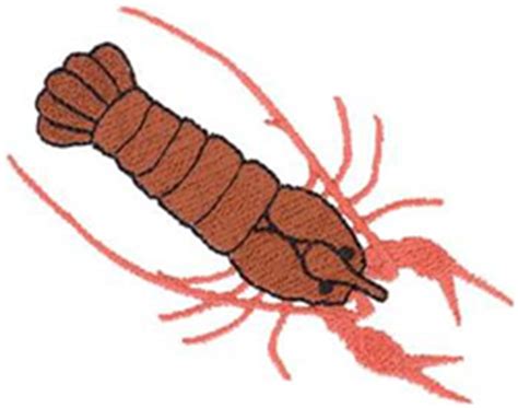 Crawfish Machine Embroidery Design Embroidery Library At