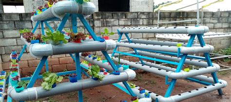 Hydroponic Farms Uganda