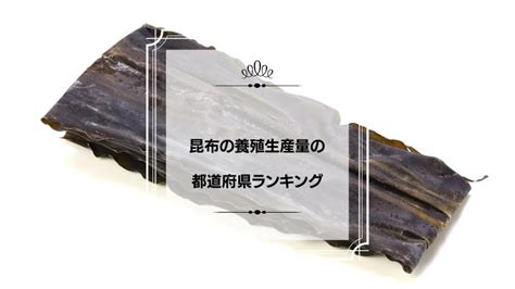 昆布の養殖生産量の都道府県ランキング！1位は北海道？ プリラン47：都道府県ランキング