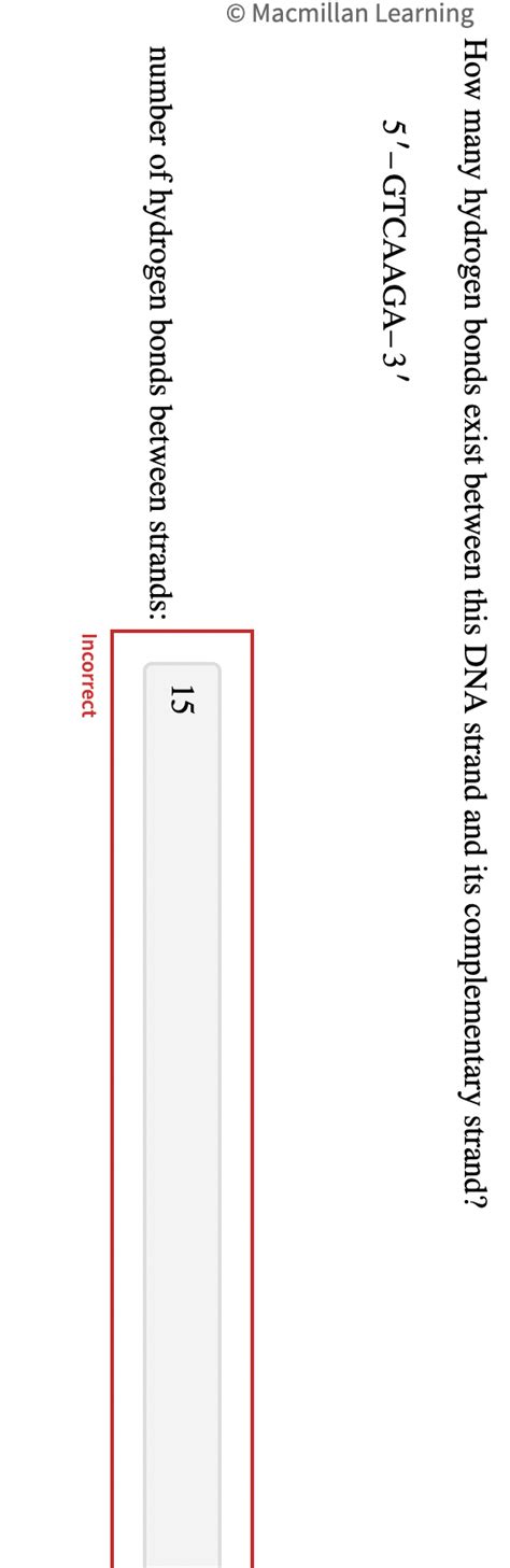 Solved How Many Hydrogen Bonds Exist Between This DNA Strand Chegg