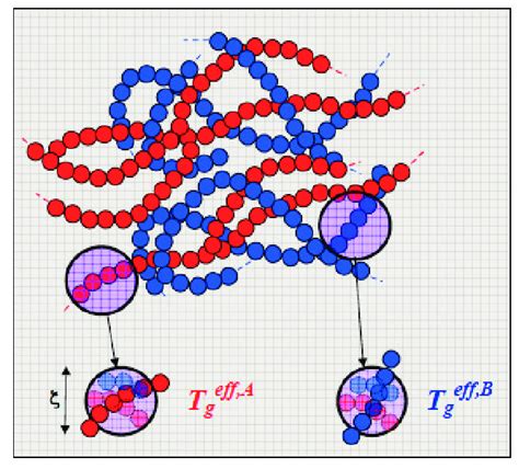 -Schematic illustration of a miscible polymer blend composed of polymer... | Download Scientific ...