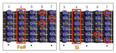 Cómo Usar el CAPO de la Guitarra Cejilla o Capotraste TIPOS