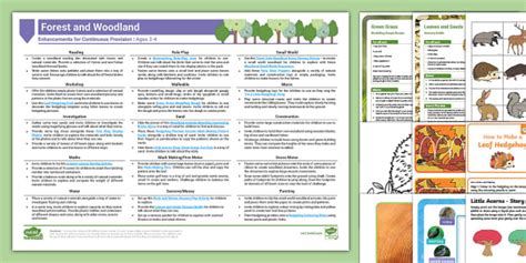 Eyfs Forest Woodland Continuous Provision Ideas Pack