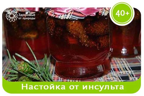Настойка сосновых шишек с яблочным уксусом от инсульта 5 зрелых ...