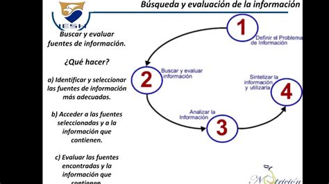 ¿qué Es La Identificación Y Delimitación Del Problema