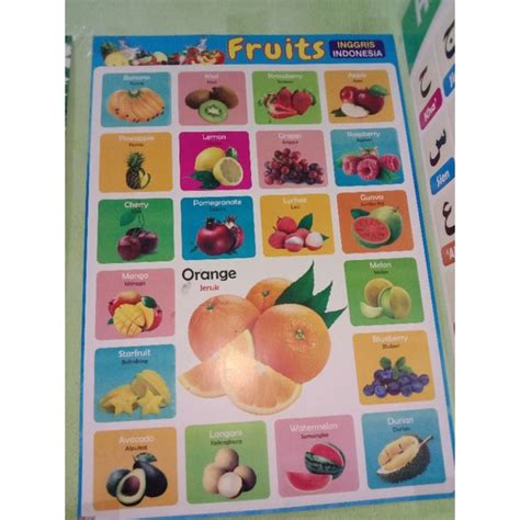 Jual Poster Pendidikan Edukasi Anak Belajar Buah Buahan Fruits Shopee