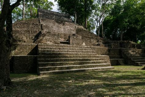 Pir Mide En El Sitio Arqueol Gico Maya De Cahal Pech En San Iganacio