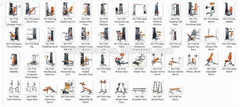 Gym equipment names - elegantper