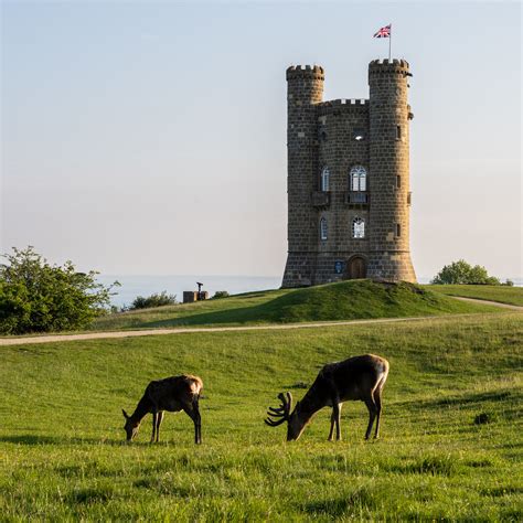 Broadway Tower Deer Graze Below The Broadway Tower Folly I Flickr