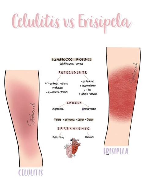 Dermatología uDocz