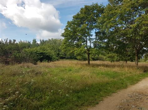 Mon Pique Nique Id Al Le Parc Forestier Du Plateau De Haye Une For T