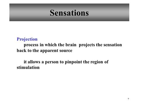 Powerpoint Lecture Outlines To Accompany Holes Human Anatomy And