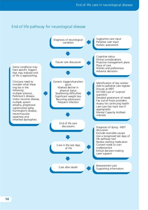 End Of Life Care Pathway Diagram