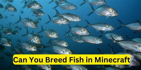 Breeding Fish in Minecraft A Guide to Avoli and Motha Fish