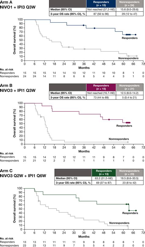 Nivolumab Plus Ipilimumab Combination Therapy In Patients With Advanced