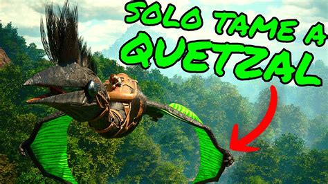 How To Solo Tame A Quetzal On Ark Survival Ascended Asa Tips And