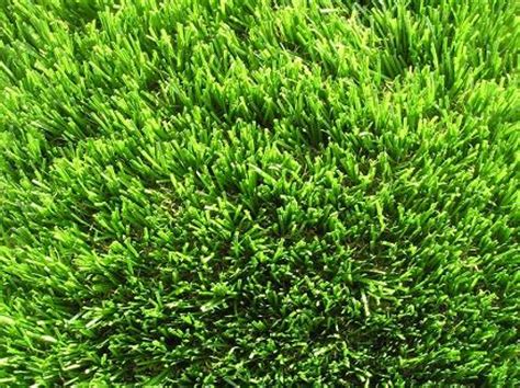 Συνθετικό Γρασίδι Easyturf Artificial grass