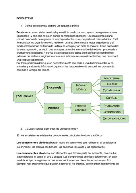 Ecosistemas Trabajo Ecosistema Defina Ecosistema Y Elabore Un Esquema