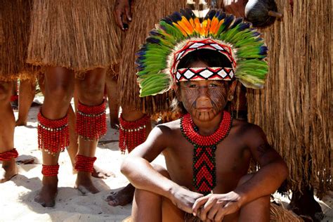 Celebrando A Resili Ncia E A Cultura Dos Povos Ind Genas Do Brasil