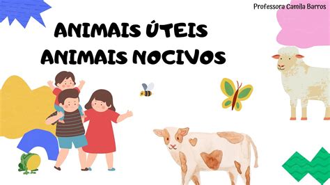 Animais Uteis E Nocivos - Animais úteis e animais nocivos - YouTube