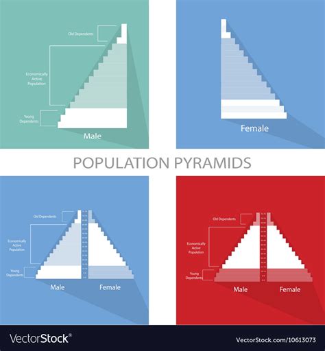 Detail Of Population Pyramids Graphs Depend On Age