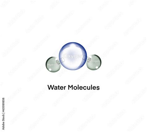 The Polar Covalent Bonds Of Water Weakly Positive And Negative