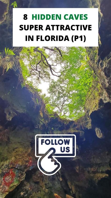 Top 8 Hidden Caves In Florida That Will Attract You Travel Tips