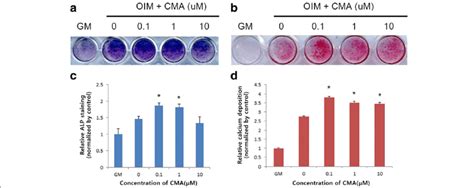 Alp Activity Evaluated By Alp Staining And Calcium Nodule Deposition Download Scientific