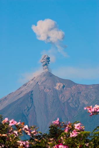 Gunung Berapi Di Guatemala Dengan Nama Fuego Meletus Foto Stok Unduh