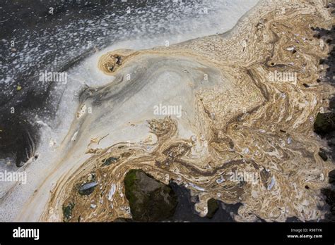 Oil Slick Sea Hi Res Stock Photography And Images Alamy