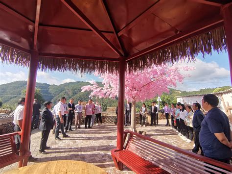 五街镇：代表视察履职为民 助推人居环境生态宜居 南华县人民政府