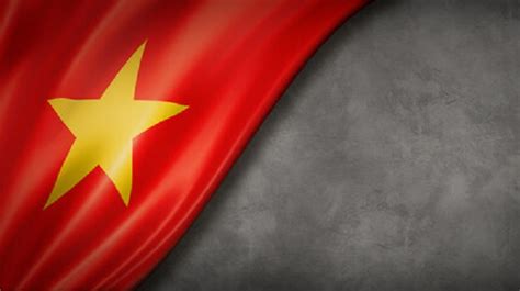 Vietnam flag - Nghiên cứu quốc tế