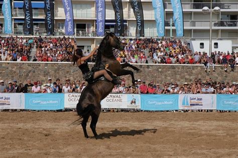 Road car et polo de retour à CavalOcéane Sport Tourcoing maville