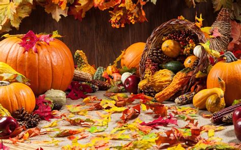 Thanksgiving Day In The United States Britannica