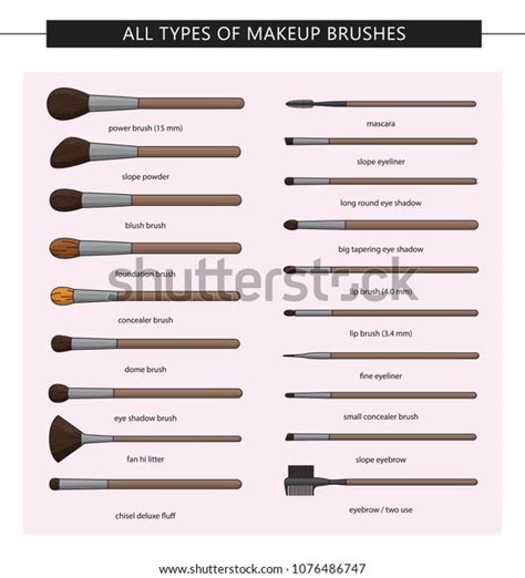 All Types Makeup Brushes Vector Set Stock Vector (Royalty Free ...