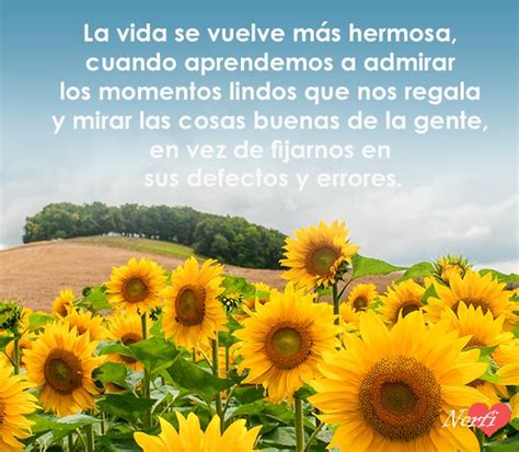 Introducir Imagen Frases De Tranquilidad Y Felicidad Abzlocal Mx