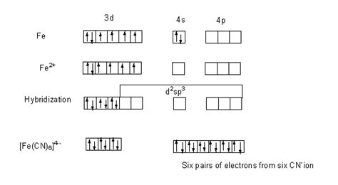 Discuss The Nature Of Bonding In Fe CN 6 4 On The Basis