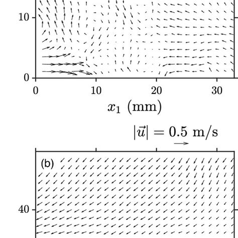 A Instantaneous And B Time Averaged Velocity Fields On The Download Scientific Diagram