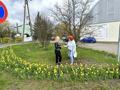 Skwer tulipanowy wyrósł we wsi Mokre pod Grudziądzem Mieszkańcy i